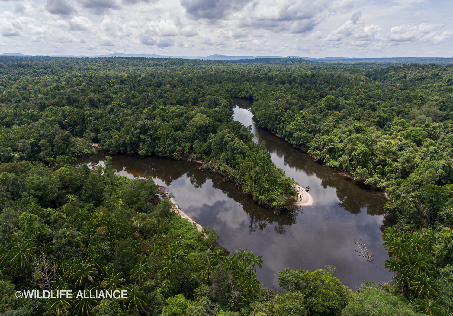 Protecting Asia’s Biodiverse Ecosystems through Mandai Nature