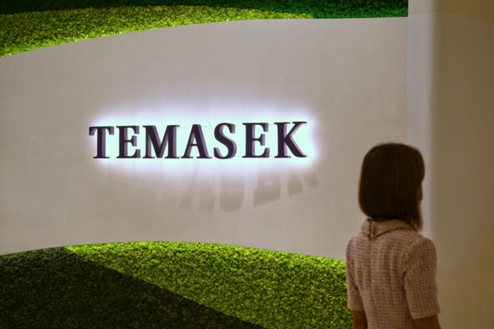 Temasek sees impact investing at tipping point