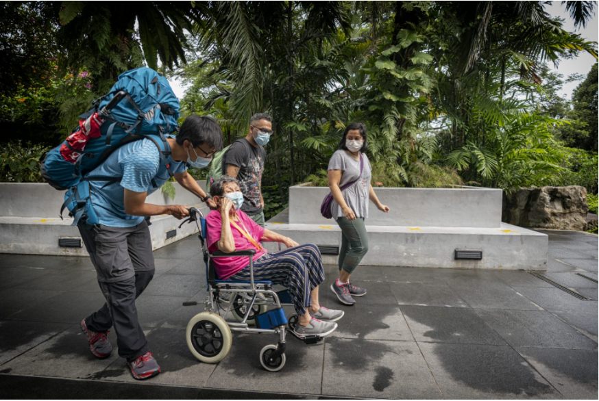 Forest Bathing in the Singapore Botanic Gardens Does Wonders for Mental Health