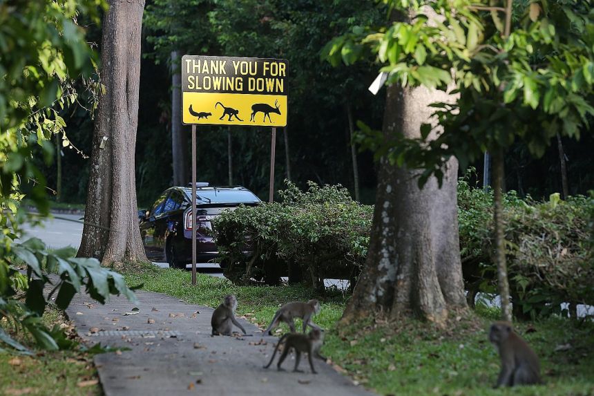 New fund to boost wildlife conservation efforts in Asia